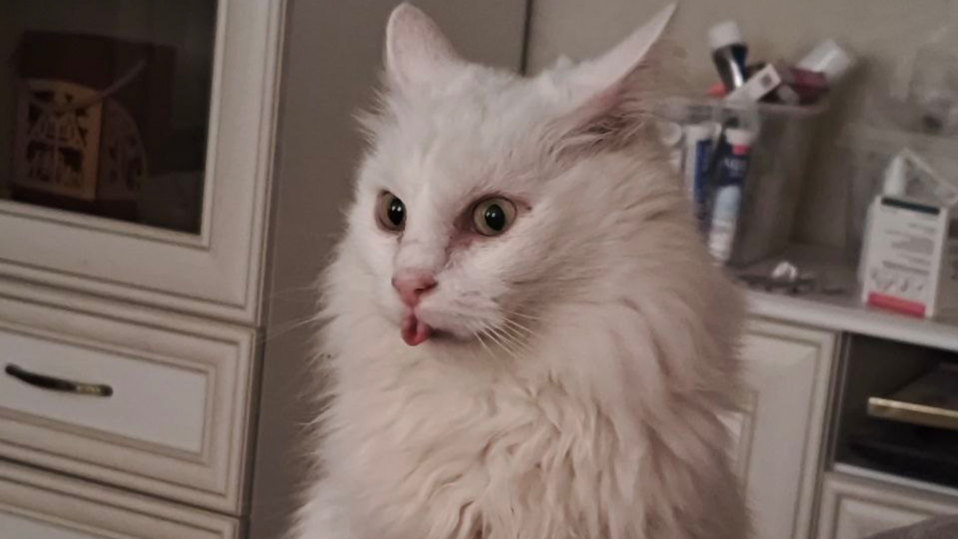 Приветик китики мы познакомились