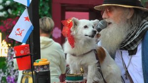 Плохая погода