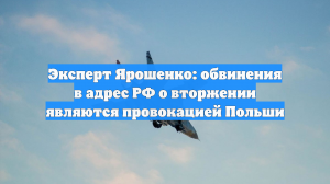 Эксперт Ярошенко: обвинения в адрес РФ о вторжении являются провокацией Польши