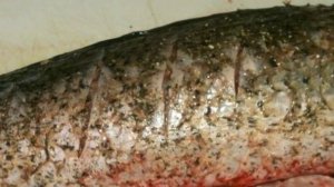 Карп жареный