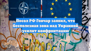 Посол РФ Гончар заявил, что бесполезная зона над Украиной усилит конфронтацию