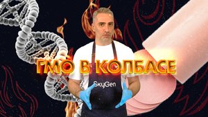 ГМО в колбасе: мы это сделали