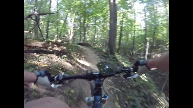 38 Попугаев. Разделка