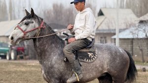 АРЗАН АТ ИЗДЕГЕНДЕРГЕ МЫНА СОНУН АТ ❤️ #байтв