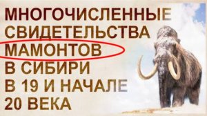 ⚡ Мамонты ЖИВЫ, свидетельства начала 20 века ...