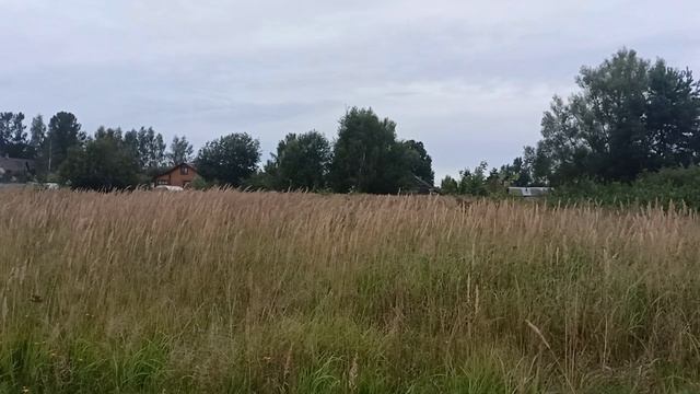 торги на земельный участок с КН 50:04:0240302:727