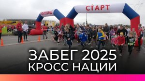 Более тысячи новгородцев приняли участие в стартах «Кросса нации»