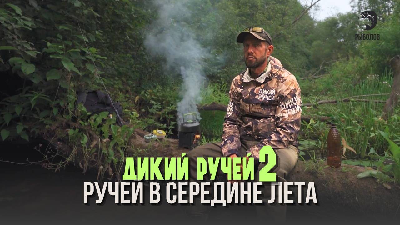 Ручей в середине лета. Дикий ручей