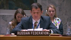 Выступление Д.А.Полянского по ситуации в воздушном пространстве Эстонии