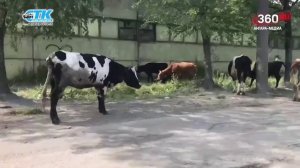 «Территория безопасности»  выпуск от 22.09.2025