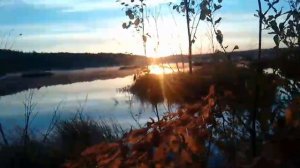 отсидел с подсадными утями, а утки в этой красоте и нет