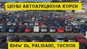Аукцион в Кореи сентябрь 2025