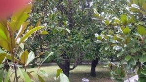 Краски осени🍁