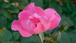 21..09..2025  кмр   (47)