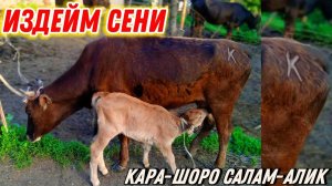 УШУЛ АЙ КАРА-ШОРО АЙЫЛ ӨКМӨТҮНӨН ЖОГОЛУП #байтв