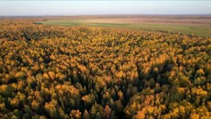 КОМЕДИЯ РОК  Осень!)))