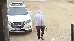 Потом расскажешь, как я погулял😂