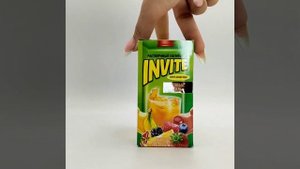 Растворимый напиток ИНВАЙТ INVITE Фруктовый Коктейль. Набор 24шт по 5гр. Сок из 90-х