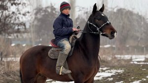 ӨЗГӨЧӨ ӨСПҮРҮМ ӨЗГӨНДӨ ❤️#байтв