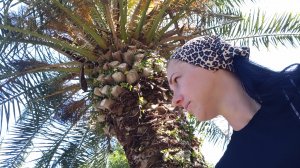 семьёй на море🌊/Сухум🌴/ Кындыгские термальные источники💦🫣