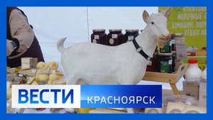 Вести. Красноярск от 13.09.2025