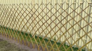 Ивушка 23 и 28 июня 2025