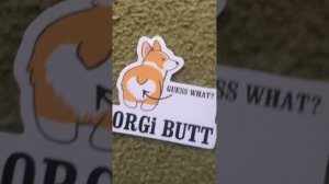 Смешные собаки корги (мемы)