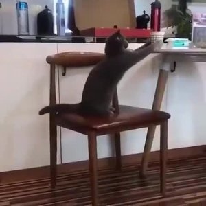 Кофейку захотелось😄