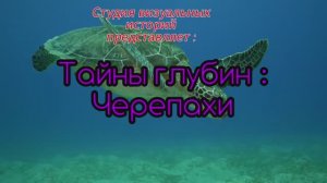 Тайны морских глубин : Черепахи