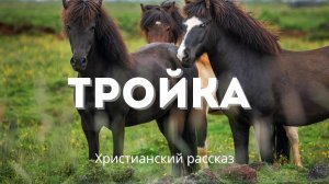 Тройка | Поучительный христианский рассказ