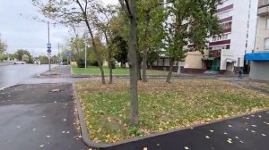 Видео обзорное