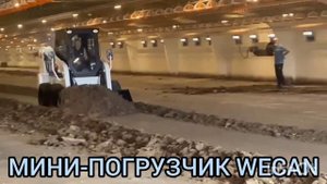 минипогрузчик полноповоротный WECAN 830