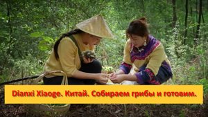 Dianxi Xiaoge. Китай. Собираем грибы и готовим.