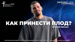 КАК ПРИНЕСТИ ПЛОД? | ШЛОПОВ МИХАИЛ