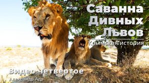 Александр Адэ - Саванна дивных львов (Видео 4)