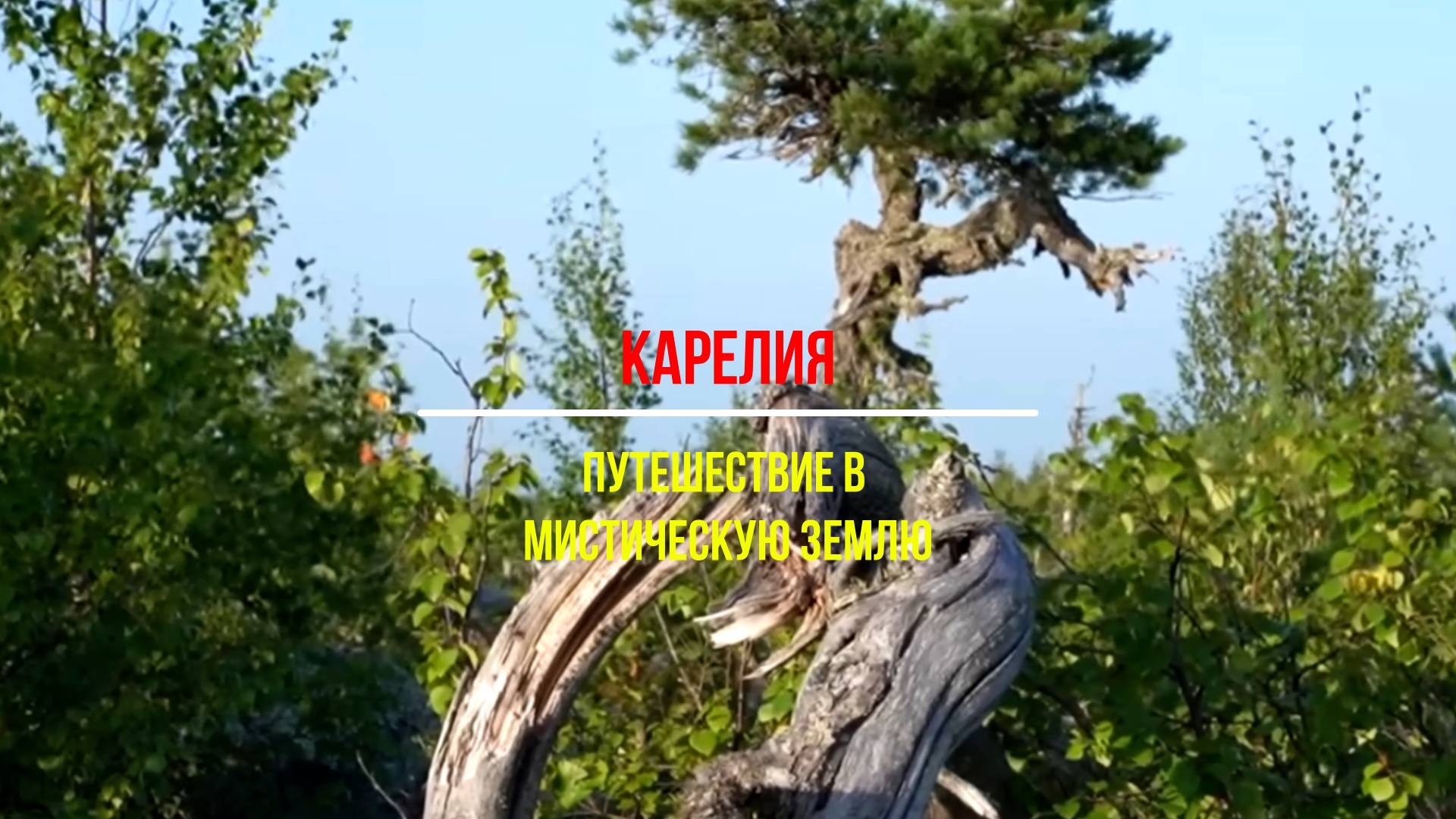 Карелия: Легенды, Леса и Тени Героев — Путешествие в Мистическую Землю