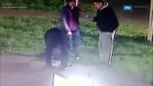 В Рязанской области вандалы украли фигуру гуся