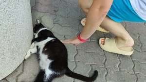 Лазаревское🍓 Беременна 😳