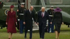 Твоя японская собачка