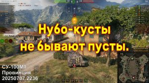 Нубо-кусты не бывают пусты. СУ-100М1. Провинция. 20250707 2236.