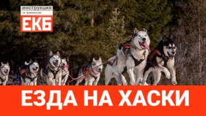 КАТАЕМСЯ НА ХАСКИ!