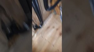 1000035149.mp4 (Собака смотрит на монтаж электропроводки в доме А-фрейм)