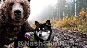 Русский 🇷🇺🇷🇺🇷🇺