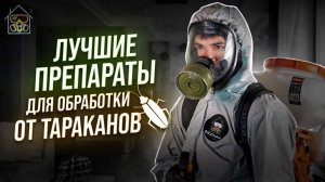 Лучшие препараты для обработки от тараканов
