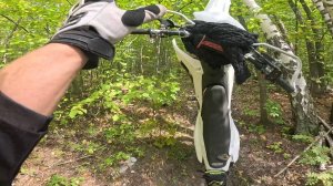 Овраг в посёлке Троицкий