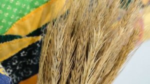 Видеоэкскурсия по выставке Странички народного календаря.mp4