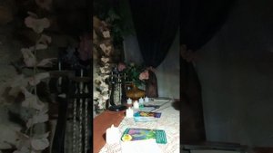 карта дня 🃏на 23.09.25.совет на день грядущий 🌞😄от таро ангелов хранителей 🧚♀️