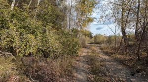 Золотая осень в окрестностях Кувандыка