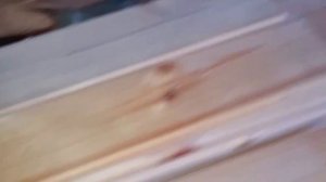 1000035191.mp4 (Собака смотрит на монтаж электропроводки в доме А-фрейм)