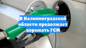 В Калининградской области продолжает дорожать ГСМ